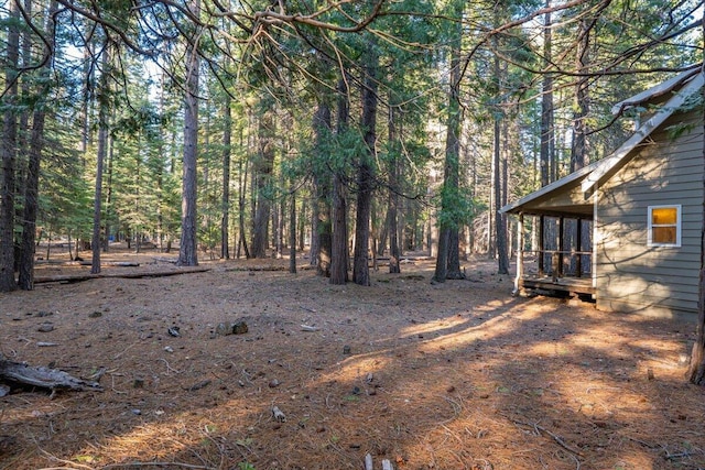 view of yard featuring a forest view