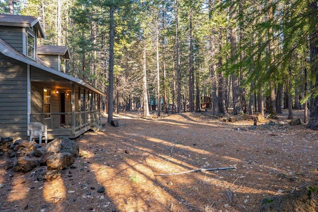 view of yard featuring a forest view