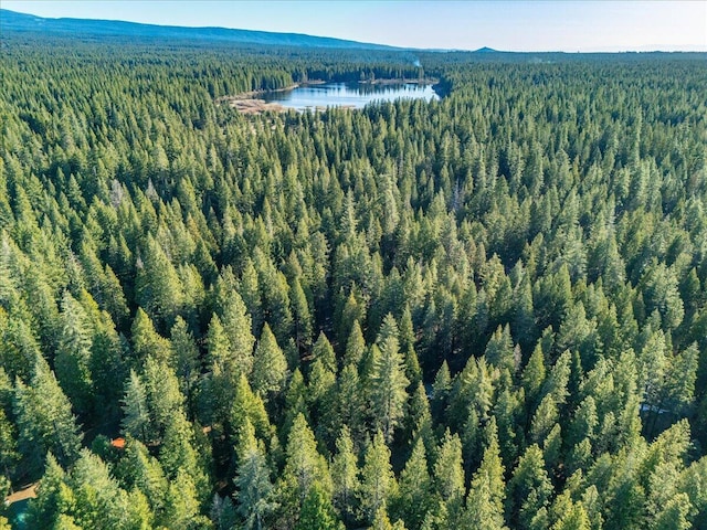 bird's eye view with a forest view and a water view