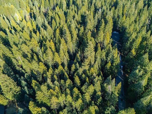 aerial view with a view of trees