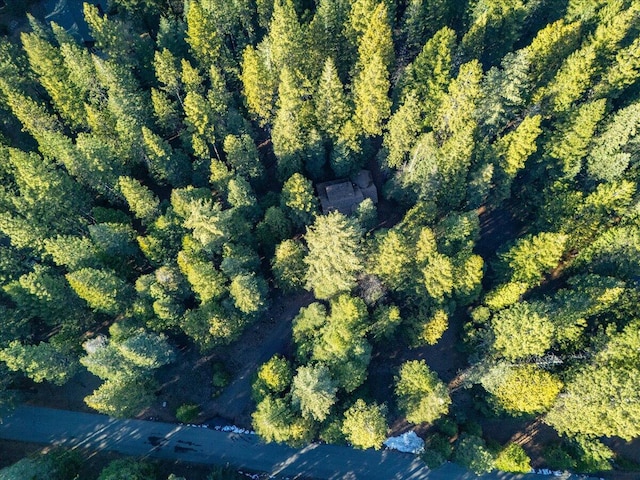 bird's eye view featuring a forest view