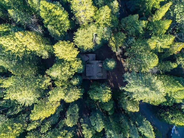 drone / aerial view with a forest view