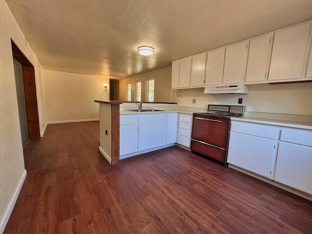 kitchen featuring under cabinet range hood, dark wood-type flooring, a sink, and range with gas stovetop