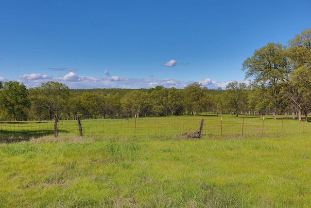 view of yard with a view of trees and a rural view