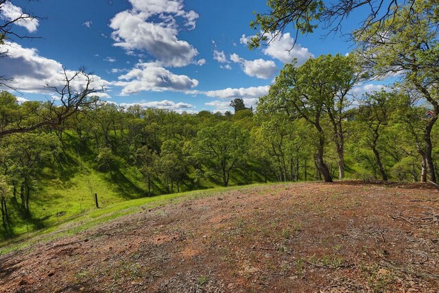 view of nature featuring a wooded view