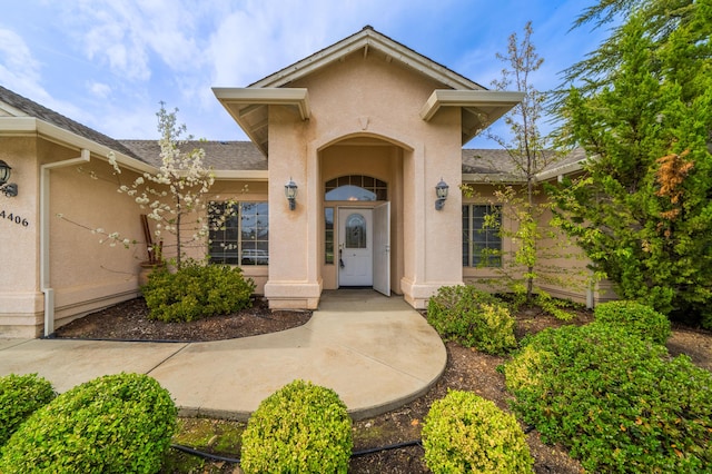 doorway to property featuring stucco siding and roof with shingles