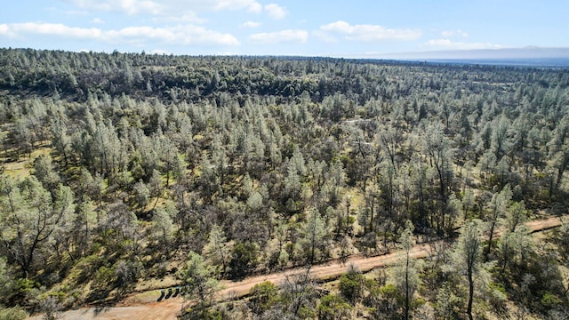 NSA Lack Creek Dr, Shingletown, CA 96088