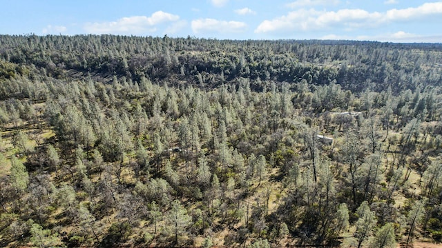 NSA Lack Creek Dr, Shingletown, CA 96088