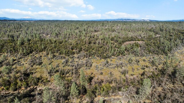 NSA Lack Creek Dr, Shingletown, CA 96088