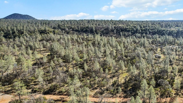 NSA Lack Creek Dr, Shingletown, CA 96088