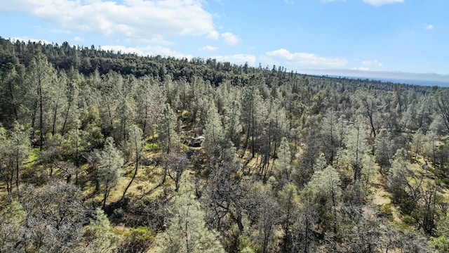 NSA Lack Creek Dr, Shingletown, CA 96088