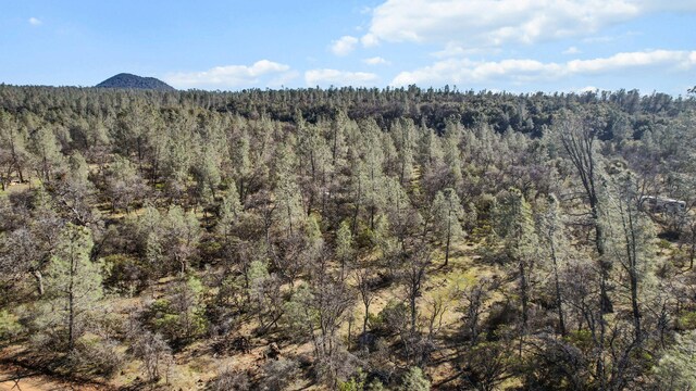 NSA Lack Creek Dr, Shingletown, CA 96088