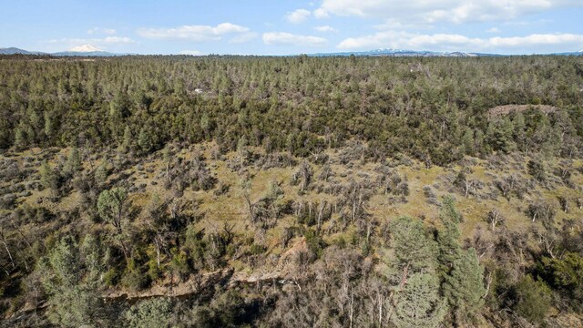 NSA Lack Creek Dr, Shingletown, CA 96088