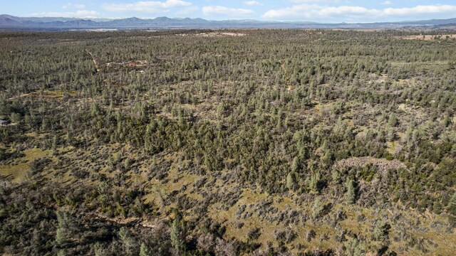 NSA Lack Creek Dr, Shingletown, CA 96088