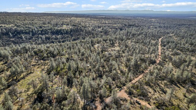 NSA Lack Creek Dr, Shingletown, CA 96088