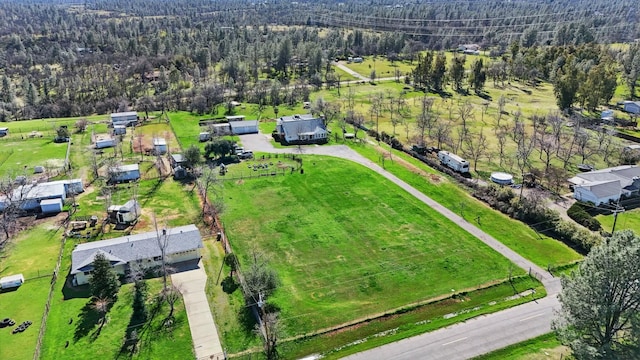 bird's eye view with a forest view