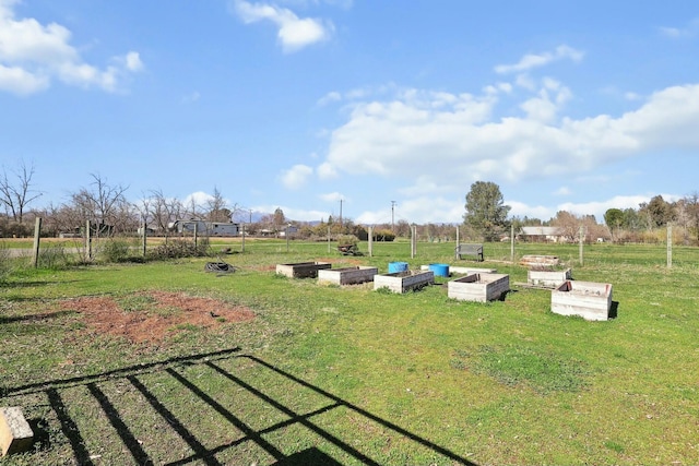 view of yard with a vegetable garden