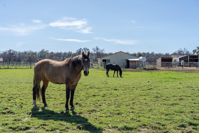 view of stable featuring a rural view