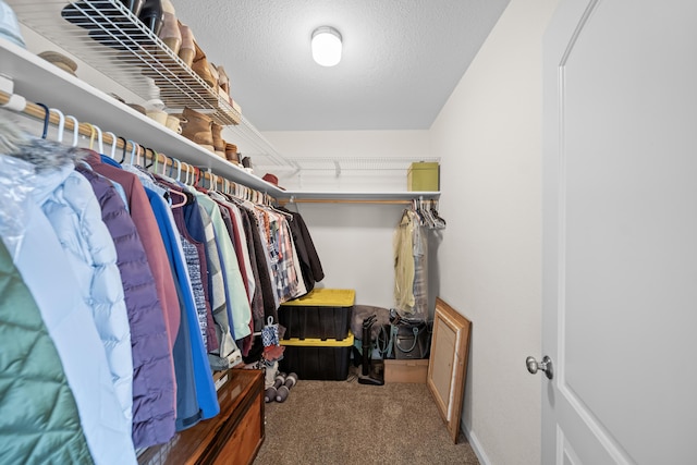 walk in closet featuring carpet floors