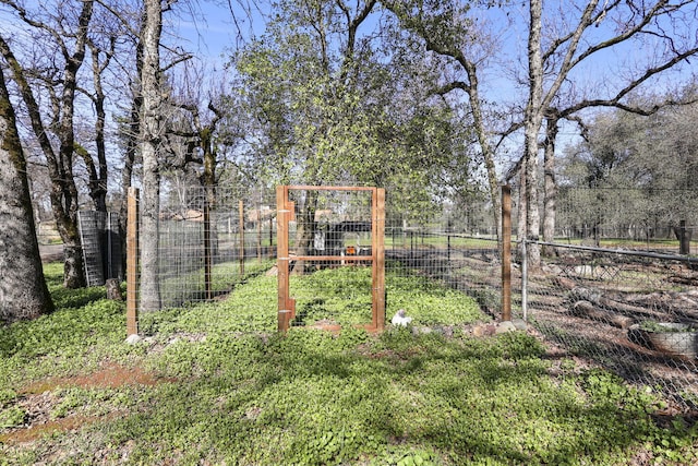 view of yard with a vegetable garden and fence