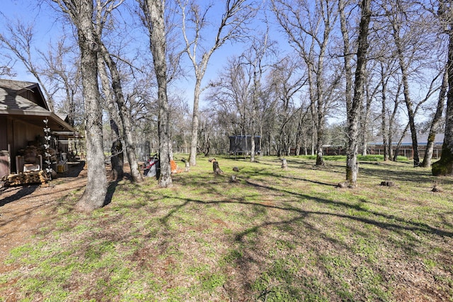 view of yard featuring a trampoline