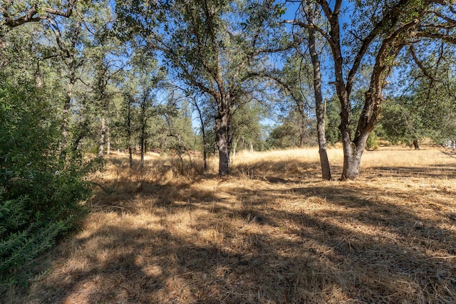 Natalie Way, Redding CA, 96003 land for sale