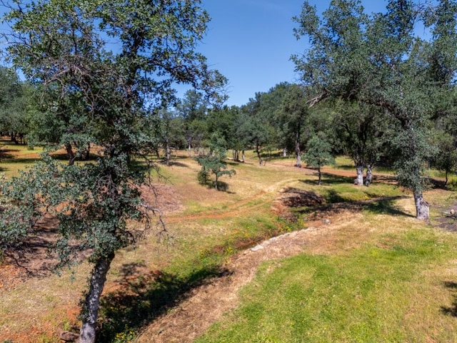 Natalie Way, Redding, CA 96003