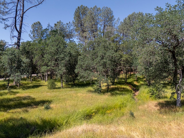 Natalie Way, Redding, CA 96003
