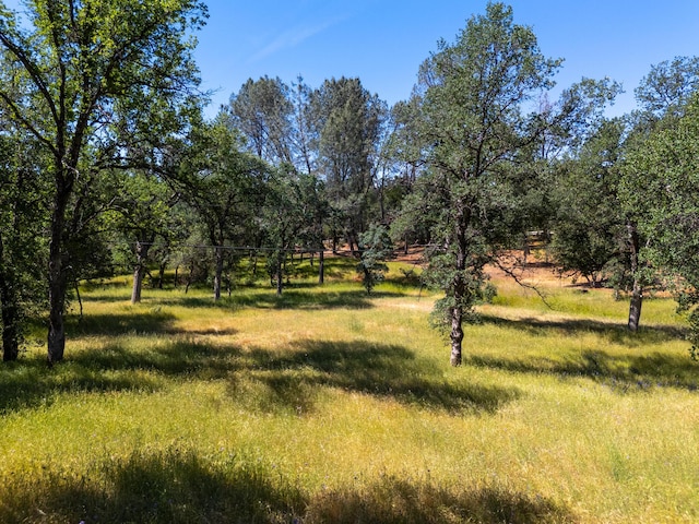 Natalie Way, Redding, CA 96003