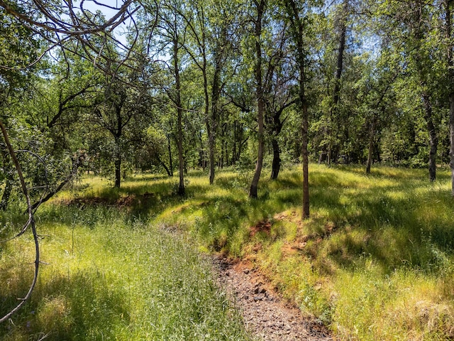 Natalie Way, Redding, CA 96003