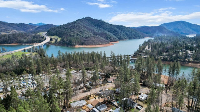 bird's eye view featuring a water and mountain view and a wooded view