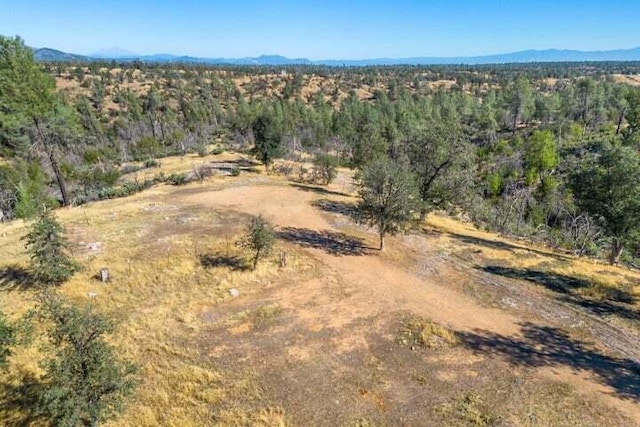 Listing photo 3 for Lower Coal Pit Dr, Igo CA 96047