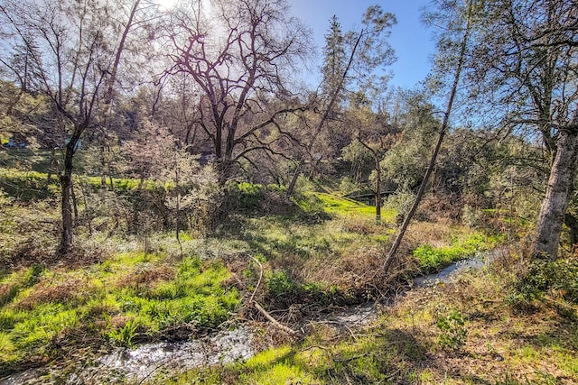 Bear Mountain Rd, Redding CA, 96003 land for sale