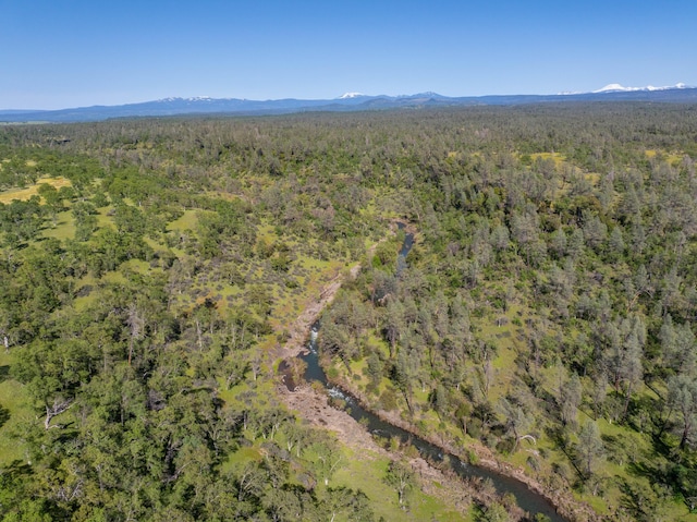 7576 Bear Creek Way, Millville, CA 96062 - photo 42