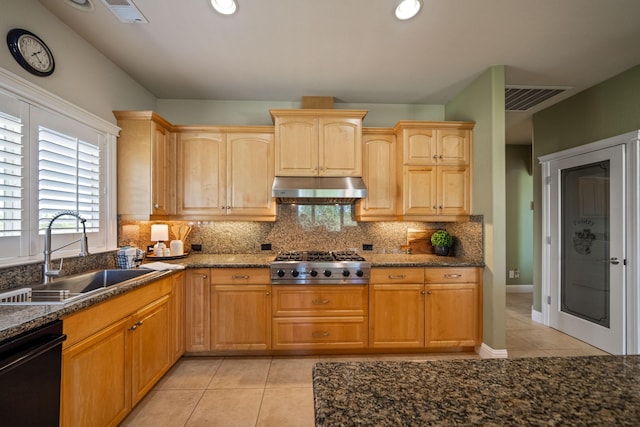 kitchen with visible vents, dishwasher, under cabinet range hood, stainless steel gas cooktop, and a sink