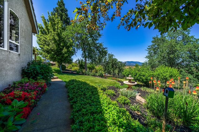 view of yard featuring a mountain view