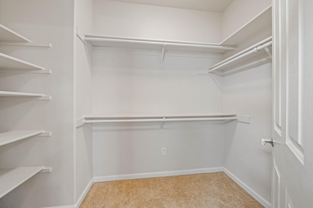 spacious closet with carpet flooring