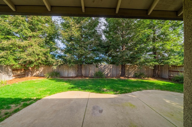 view of yard featuring a patio and a fenced backyard