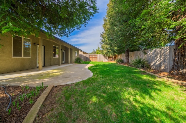 view of yard with a patio area and a fenced backyard