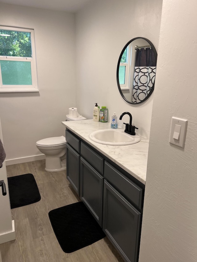 bathroom featuring vanity, plenty of natural light, toilet, and wood finished floors