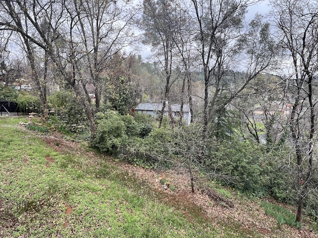 view of yard featuring a wooded view