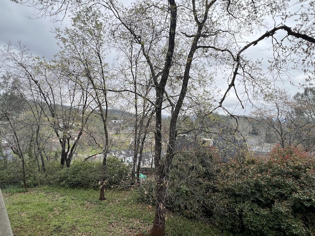 view of yard featuring a view of trees