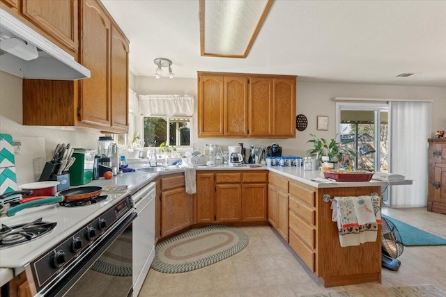 kitchen with gas stove, a healthy amount of sunlight, white dishwasher, a peninsula, and under cabinet range hood