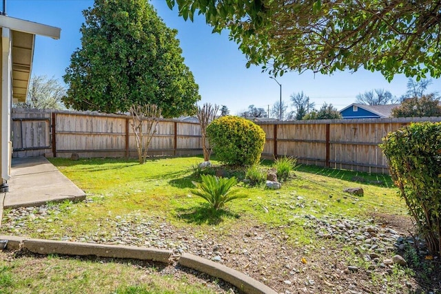 view of yard with a fenced backyard