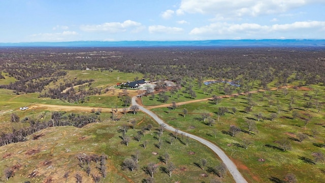 aerial view with a mountain view and a view of trees