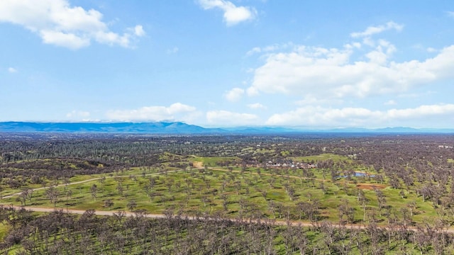 view of mountain feature featuring a wooded view