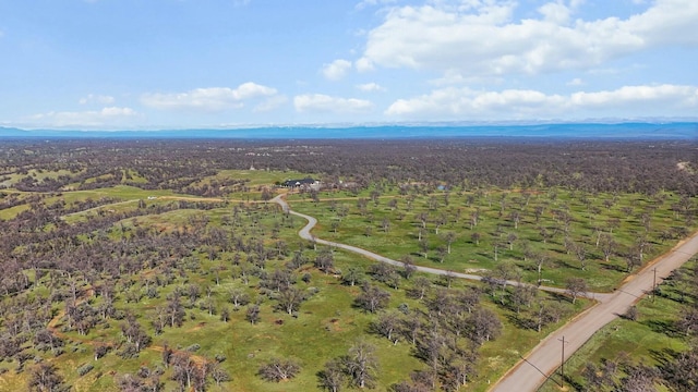 aerial view featuring a mountain view and a view of trees