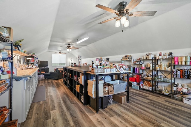 miscellaneous room with lofted ceiling, ceiling fan, and wood finished floors