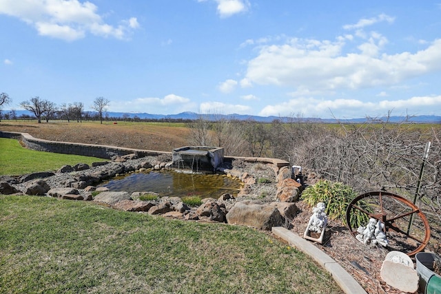 view of yard with a mountain view