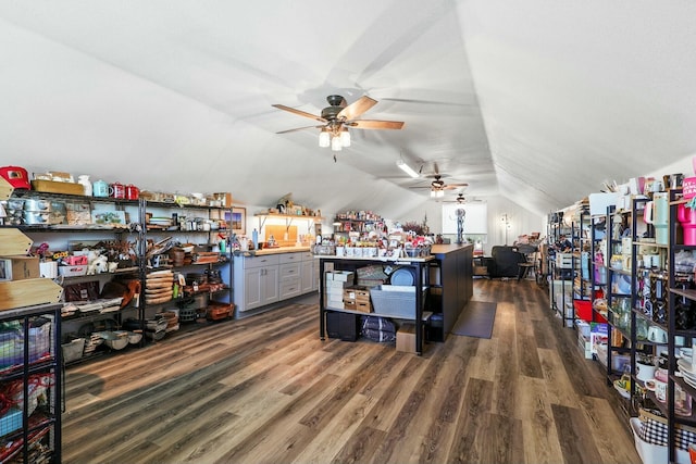 interior space featuring lofted ceiling, wood finished floors, and a ceiling fan